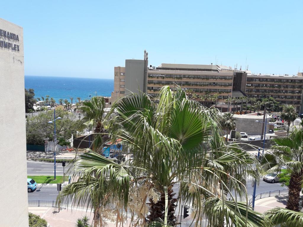 利马索尔Limassol Seaside Apartment的一座建筑和大海前的棕榈树