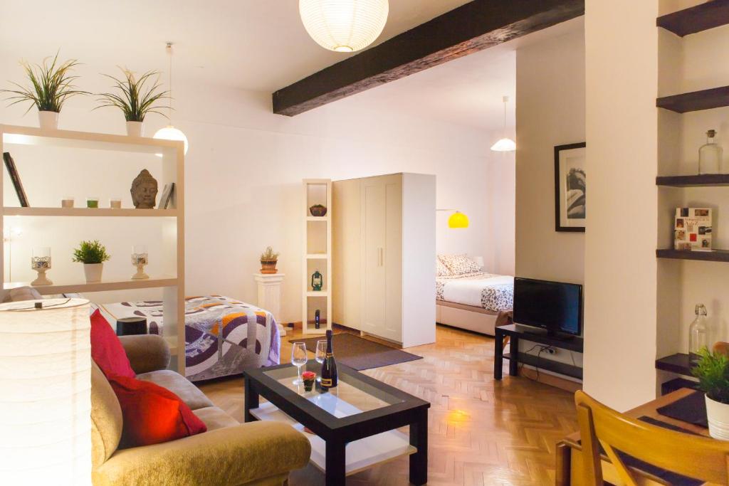 马德里塞戈维亚公寓的客厅配有沙发和1张床