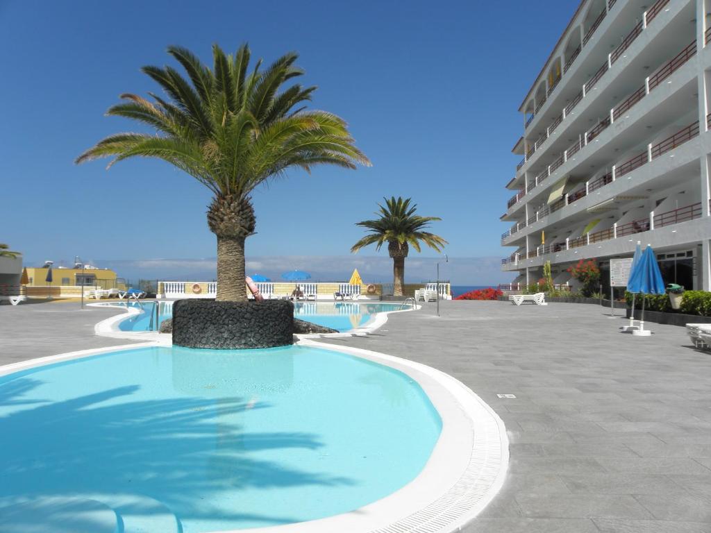 圣地亚哥港First Line Beach Apartment with Ocean View La Arena的一座游泳池,旁边是一座棕榈树