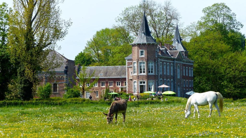 圣特雷登Kasteel Nieuwenhoven的骑马和马在建筑前的田野上放牧