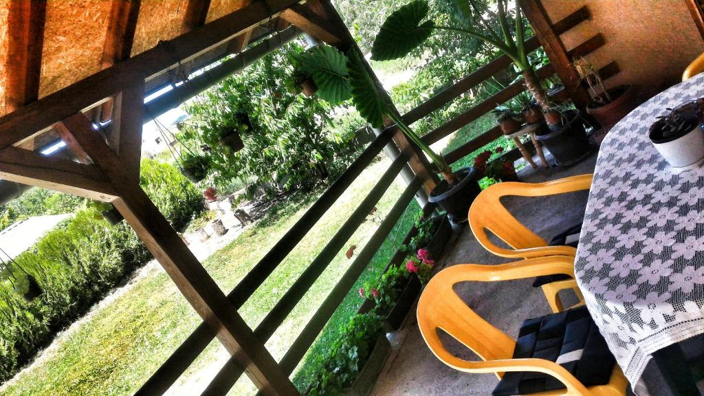 索科矿泉村Apartment Antić的设有带椅子的阳台和花园的景色