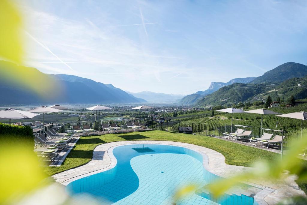 切尔梅斯Das Grafenstein Familienresidence的享有游泳池的景色,背景为山脉