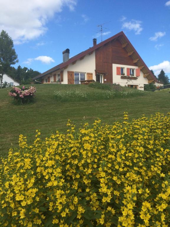Les FourgsAu Charnet的一座房子前面的一片黄花