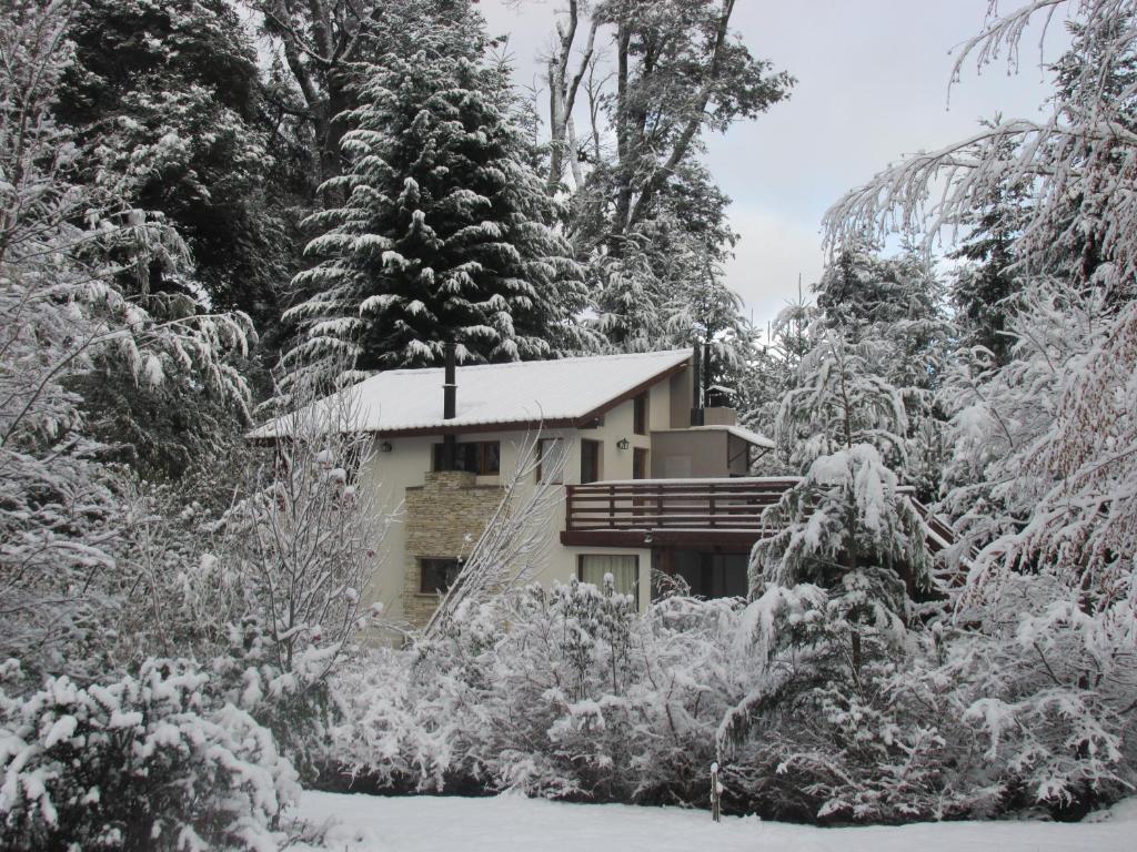 拉安戈斯图拉镇Pircas del Alto的森林中积雪覆盖的房子