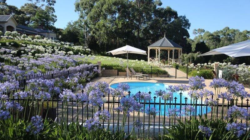 克莱尔布莱斯山乡村旅馆的一个带游泳池和紫色鲜花的花园