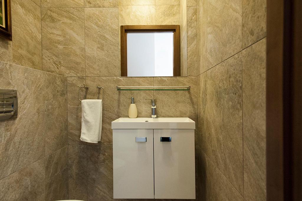 华沙莫克托夫多莫特尔公寓的一间带水槽和镜子的浴室