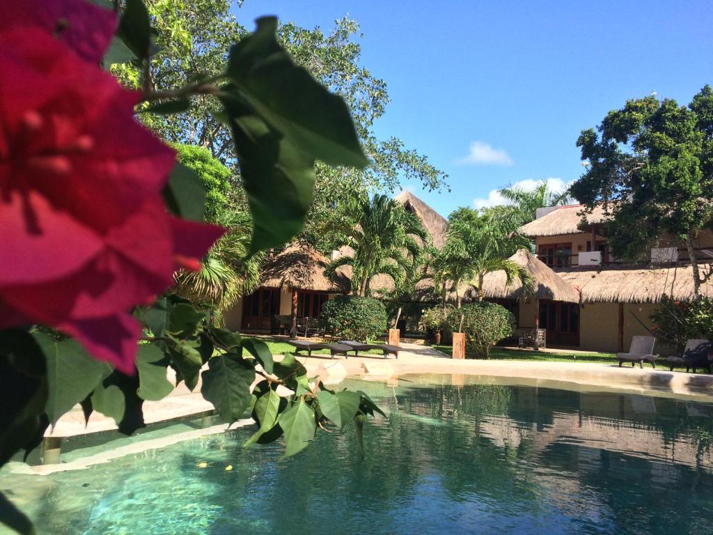 西普哈La Villa Mexicana by Diving Prestige的享有度假村游泳池的景致