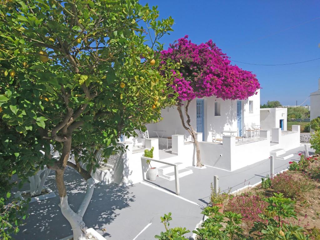 洛加拉斯Klironomos Apartments Logaras的白色的房子,有树和粉红色的花