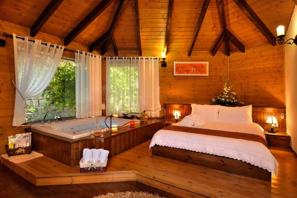 罗什平纳Talia Cabin Guest & Spa的一间卧室配有一张床和一个浴缸。
