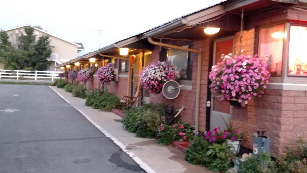 Thayne瑞士山汽车旅馆的建筑物边的一排花