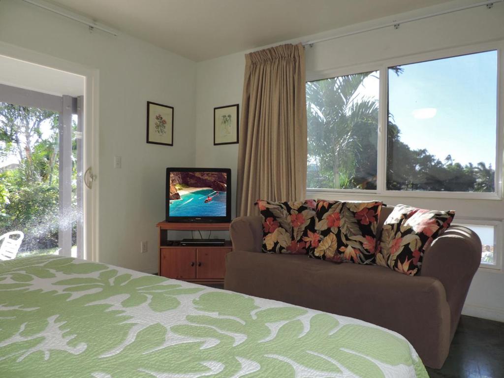 科洛阿黑尔普阿海滨一室公寓别墅的带沙发和电视的客厅