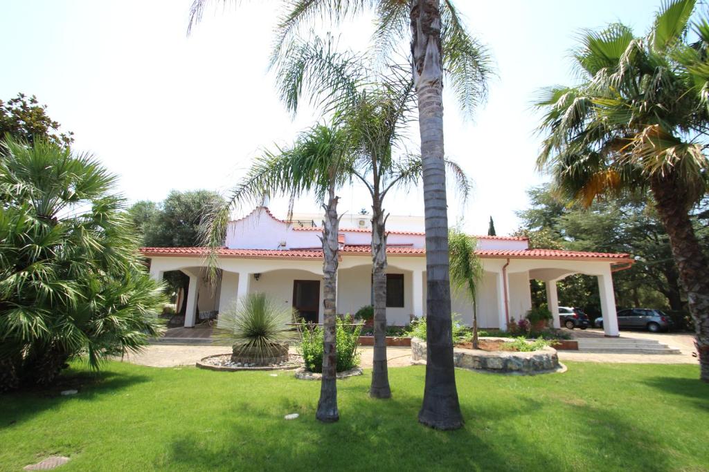 圣维托诺曼Diddy's Country - Abbasciu的庭院里棕榈树的房子