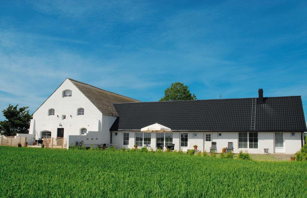 Löderup瓦尔贝加斯拉特酒店的绿色田野上带黑色屋顶的白色谷仓
