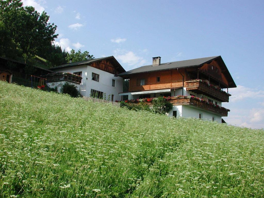 布列瑟农Zehrehof的一座草场上山顶的建筑
