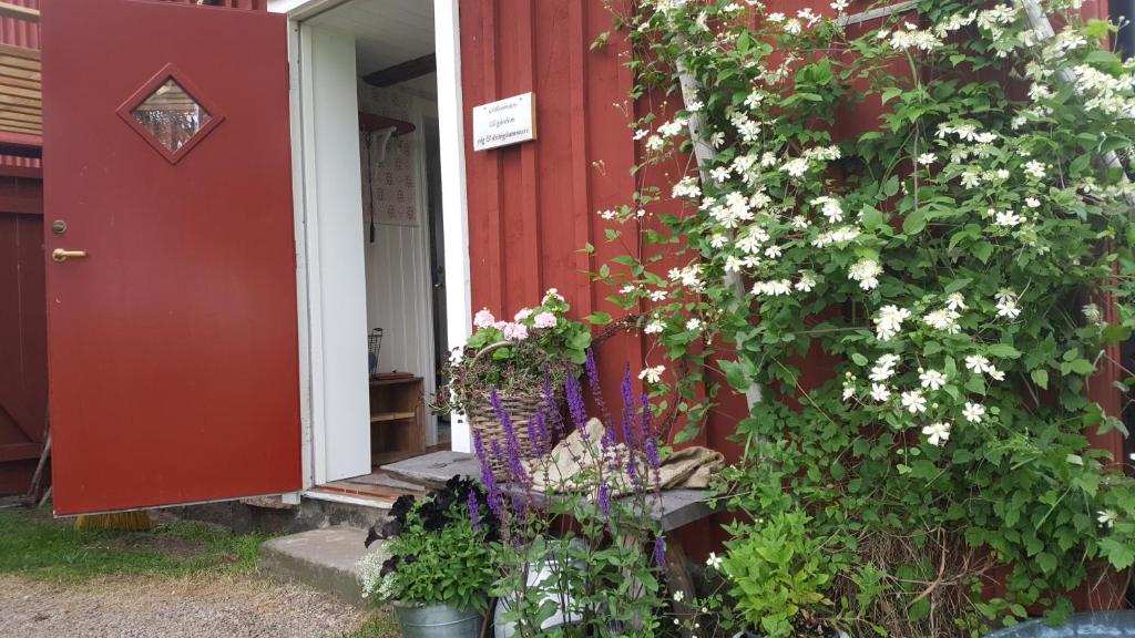 TvååkerRönnås的红色的房子,有红色的门和鲜花