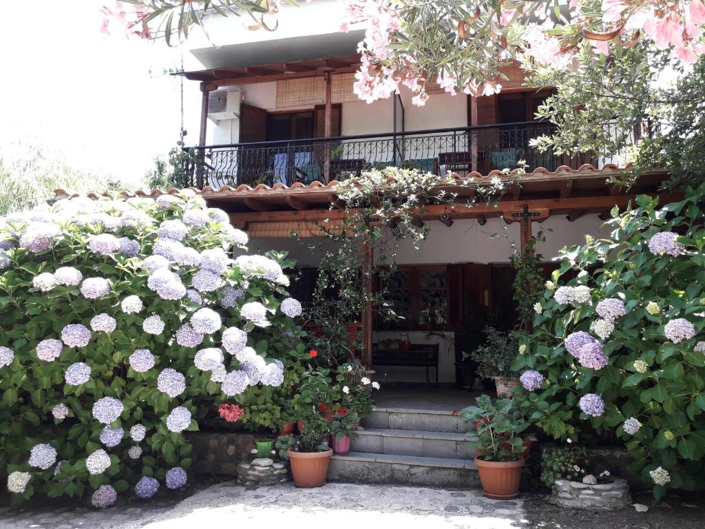塞尔马阿卡玛提斯乔治旅馆的前面有一束鲜花的房子