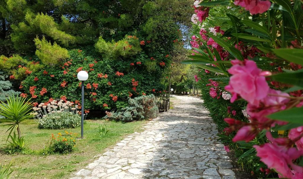 维耶斯泰Residence Polidoro的花卉花园中的石头路径