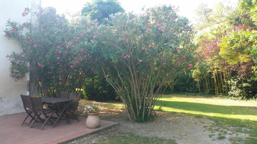 圣马迪拉莫Le Mas d'Icard的花园设有两把椅子和一张桌子,灌木丛中种有粉红色的花朵