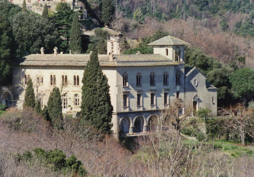 San-Martino-di-LotaCHÂTEAU CAGNINACCI B&B的一座大房子,位于一座有塔的山丘上