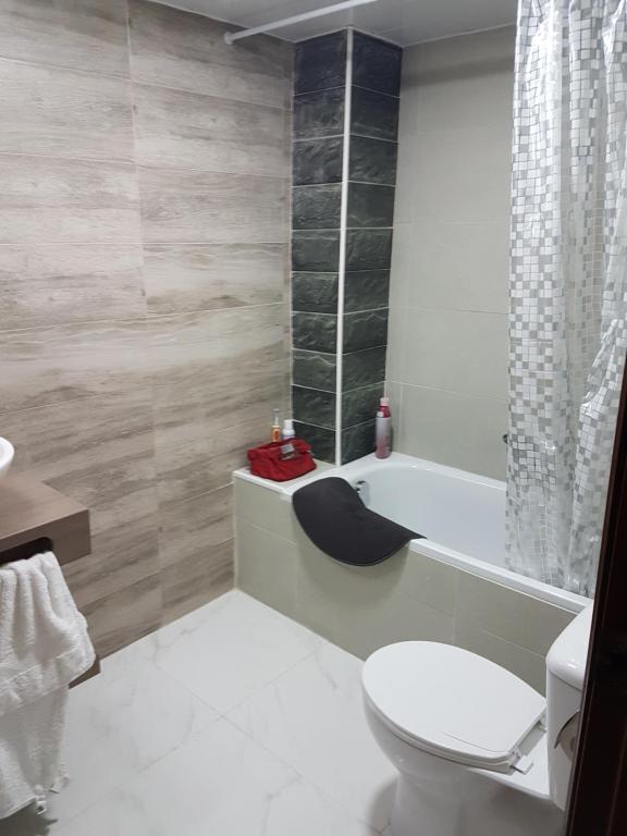 马尔格莱特德玛Apartamento Malgrat de mar的一间带卫生间和浴缸的浴室