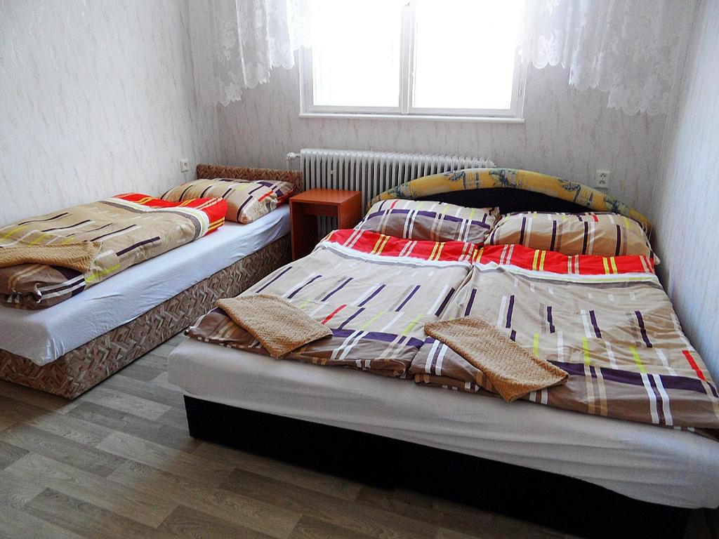 大帕夫洛维采Ubytování ve Vinařství Michna的带窗户的客房内设有两张单人床。
