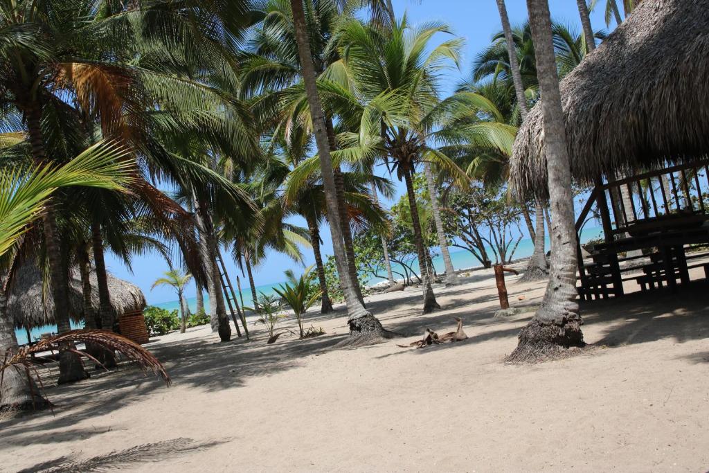 帕洛米诺Cabanas Las Estrellas的沙滩上的棕榈树