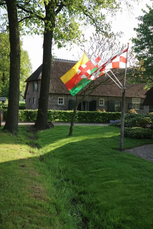 MoergestelErfgoed & Logies Den Heijkant的一只五颜六色的风筝在院子里飞