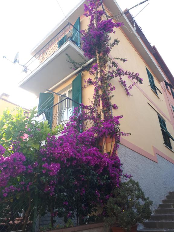 圣特伦佐Da Rita的一座花朵紫色的建筑