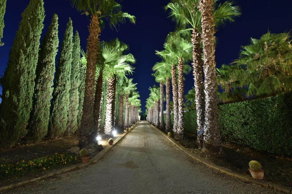 马里内拉Agrisicilia (Relax Mare e Natura)的一条晚上棕榈树成荫的街道