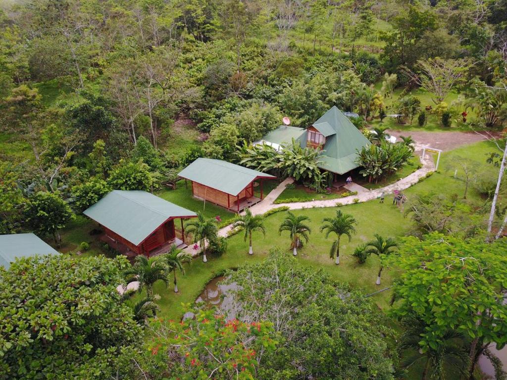 比加瓜Rincon Verde的森林中房屋的空中景观