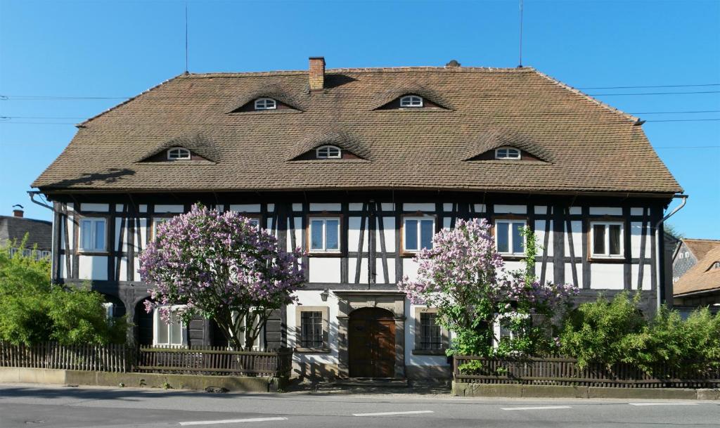 大舍瑙Goldberghaus Mauve的一座带瓷砖屋顶和鲜花的古老房子