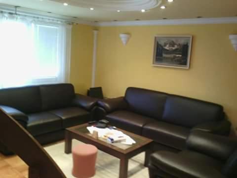 贝拉茨尔克瓦Ćane Rooms的带沙发和咖啡桌的客厅