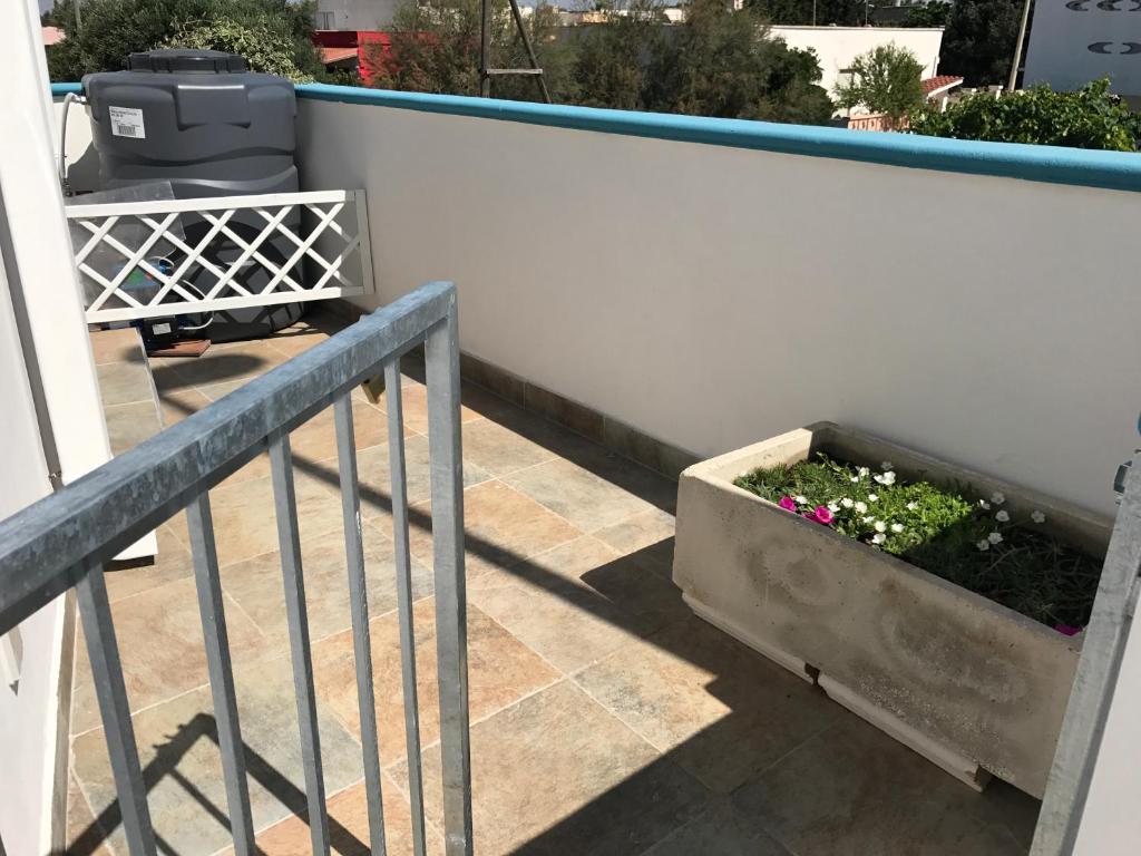 托雷拉皮罗Casa Gada的阳台种植了鲜花