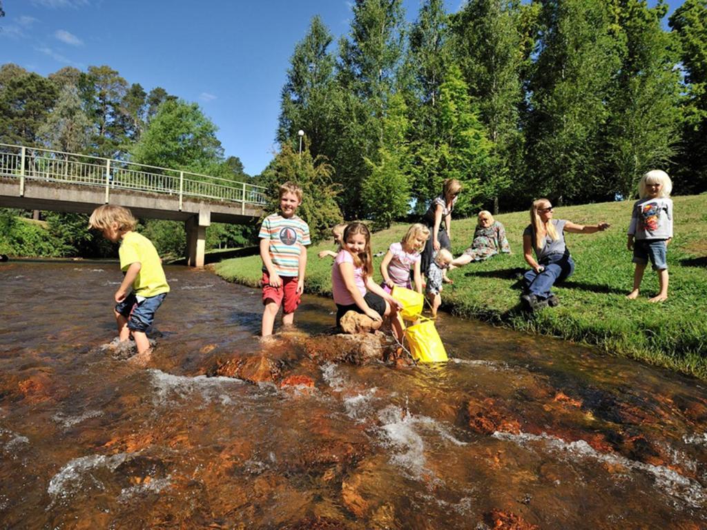 布赖特NRMA明媚假日公园的一群在河里水里玩耍的孩子