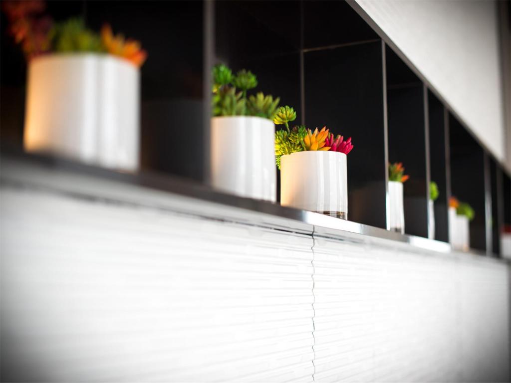 南京如家商旅酒店南京玄武湖新模范马路地铁站店的架子上一排白盆植物