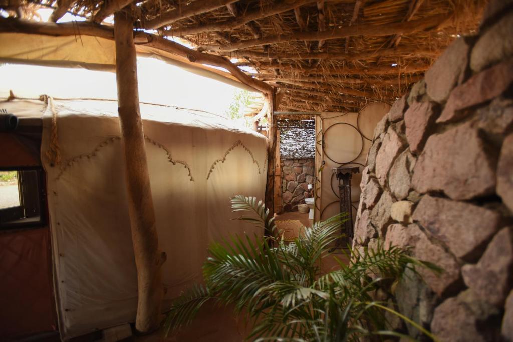 威廉姆斯山林小屋平面图