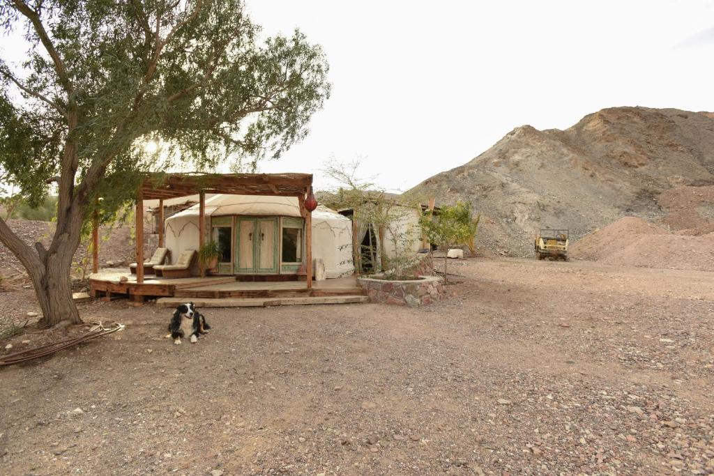 山林小屋周边自然景观