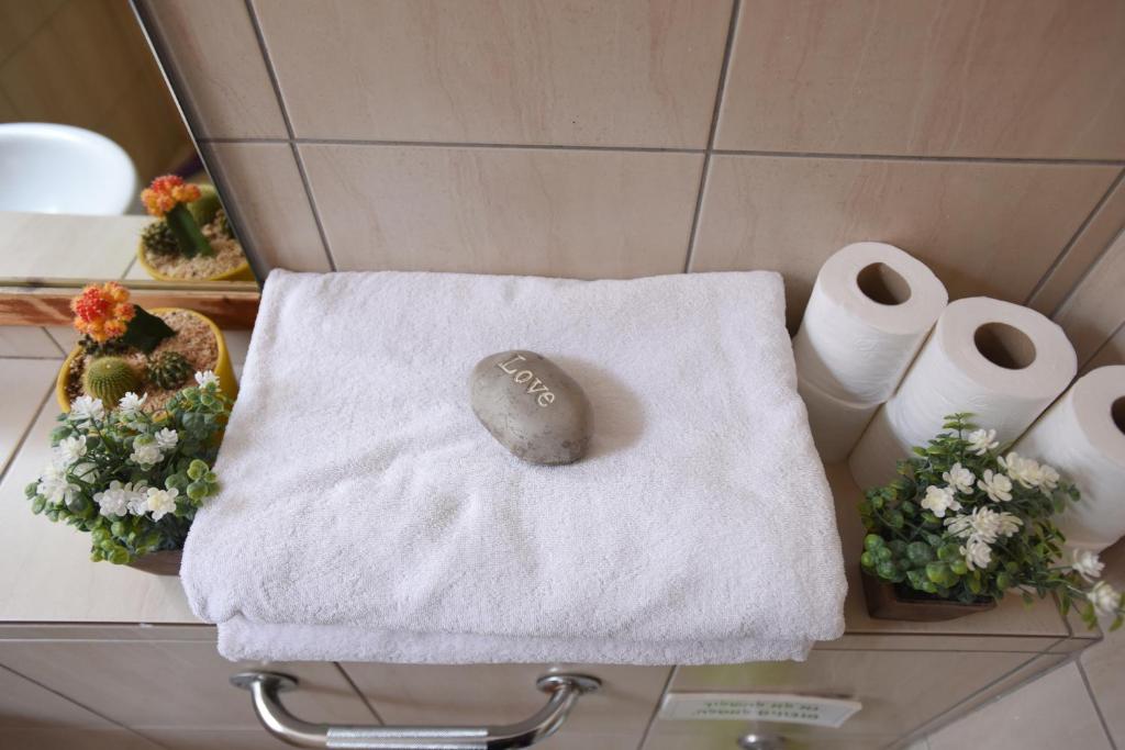 威廉姆斯山林小屋平面图