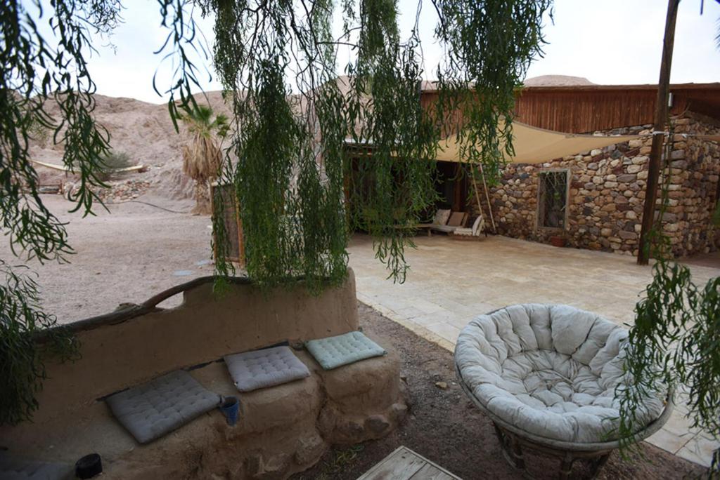 埃拉特威廉姆斯山林小屋的带沙发的户外庭院和大楼