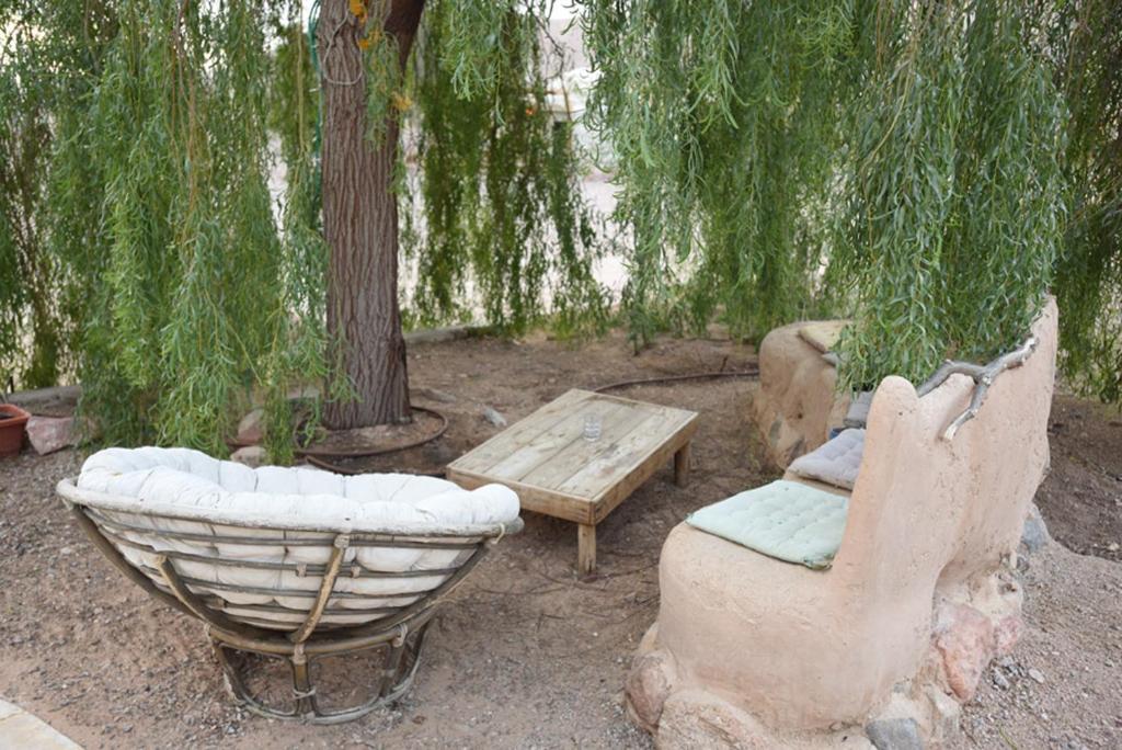 威廉姆斯山林小屋外面的花园