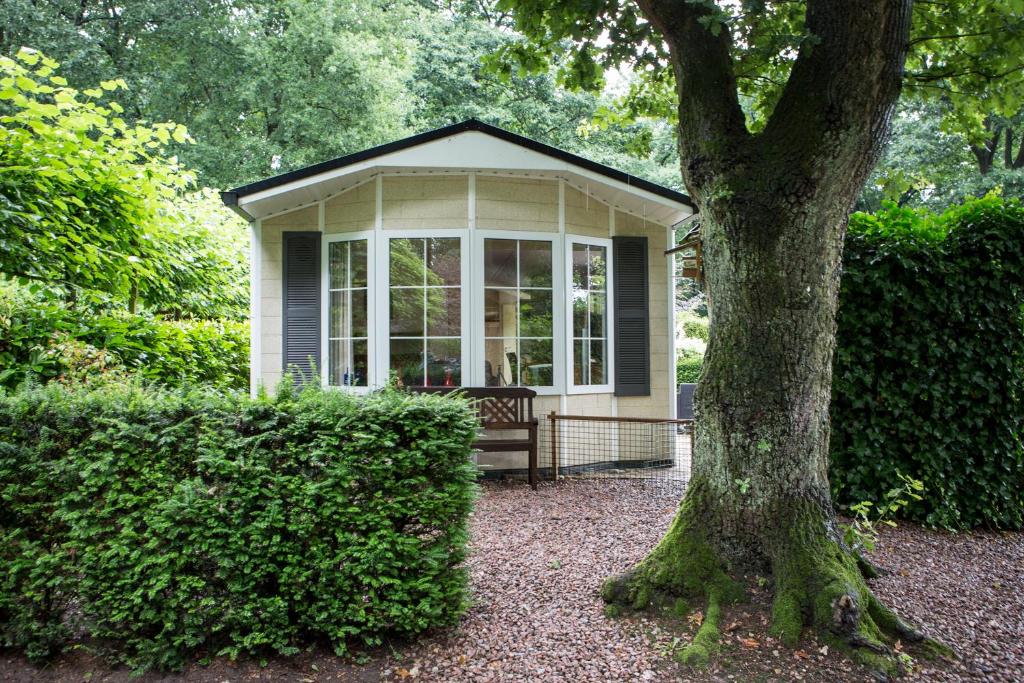 瓦赫宁根Chalet vakantie Wageningen的树旁的小房子,长凳