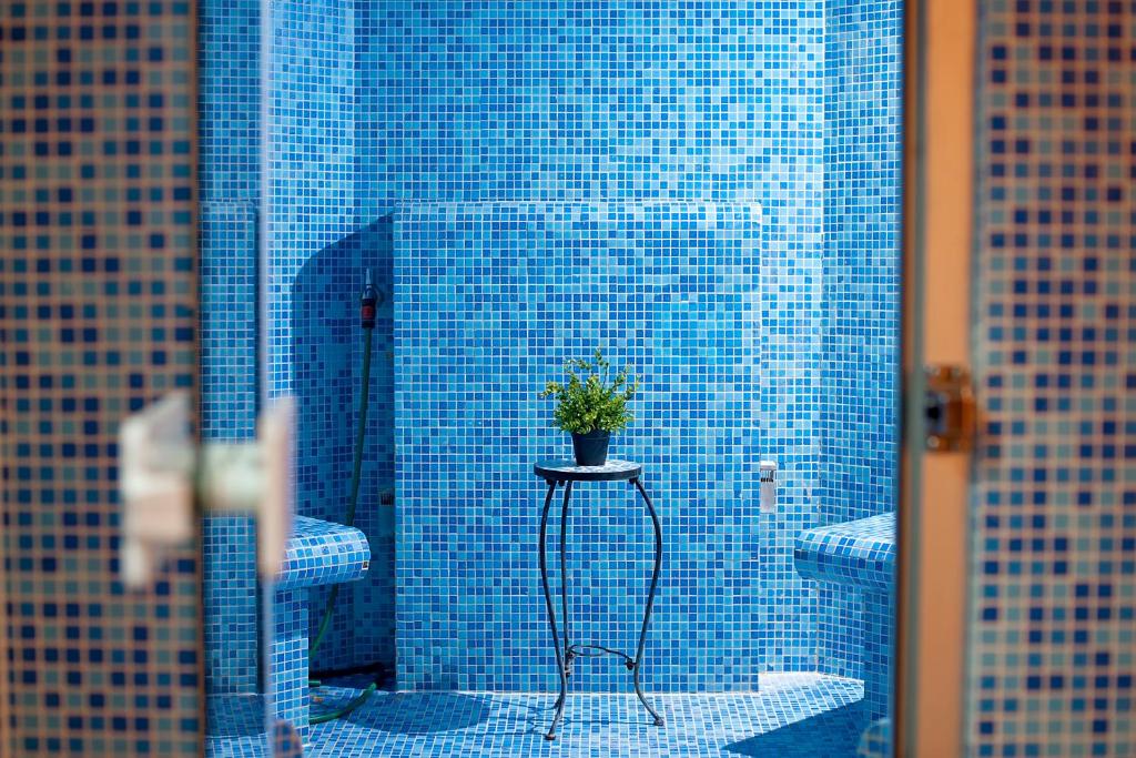 马里博尔Hotel Bajt Maribor的蓝色瓷砖浴室,桌子上放植物