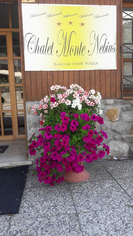 维纳迪奥蒙特尼比尔斯小屋酒店的商店前满花的花瓶