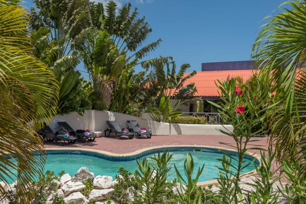 威廉斯塔德Blue Marlin Apartments的庭院内一个带椅子和棕榈树的游泳池