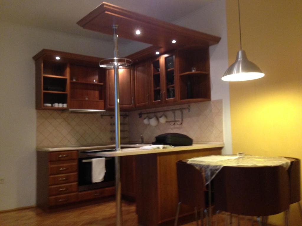 布达佩斯堡勒19号公寓的厨房配有木制橱柜和台面