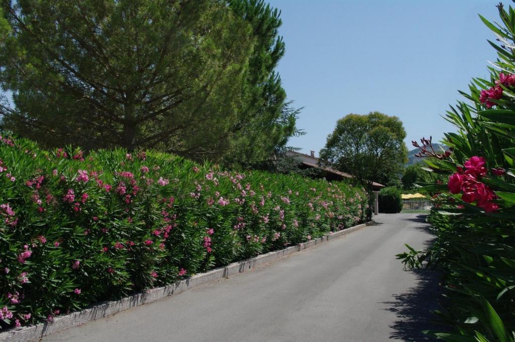 佩戈马布斯克酒店的路上种着粉红色花的花园