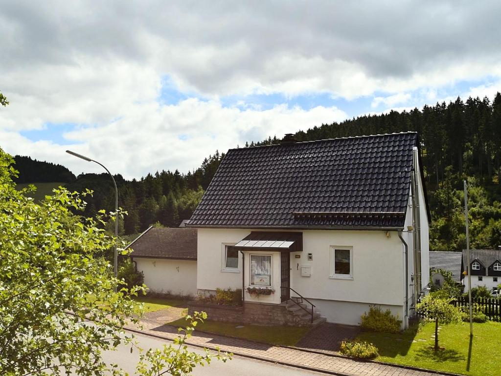 梅德巴赫Modern Holiday Home in Deifeld with Private Garden的黑色屋顶的白色房子
