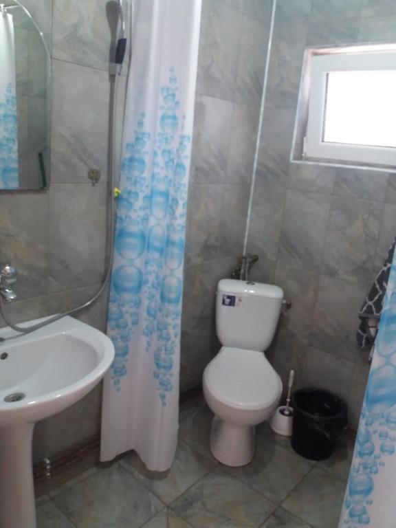 多亚马伊Casa Misu的浴室配有卫生间、盥洗盆和淋浴。