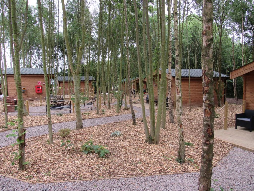奥尔弗里顿雷丁斯伍德山林小屋露营地的树丛,背景是建筑