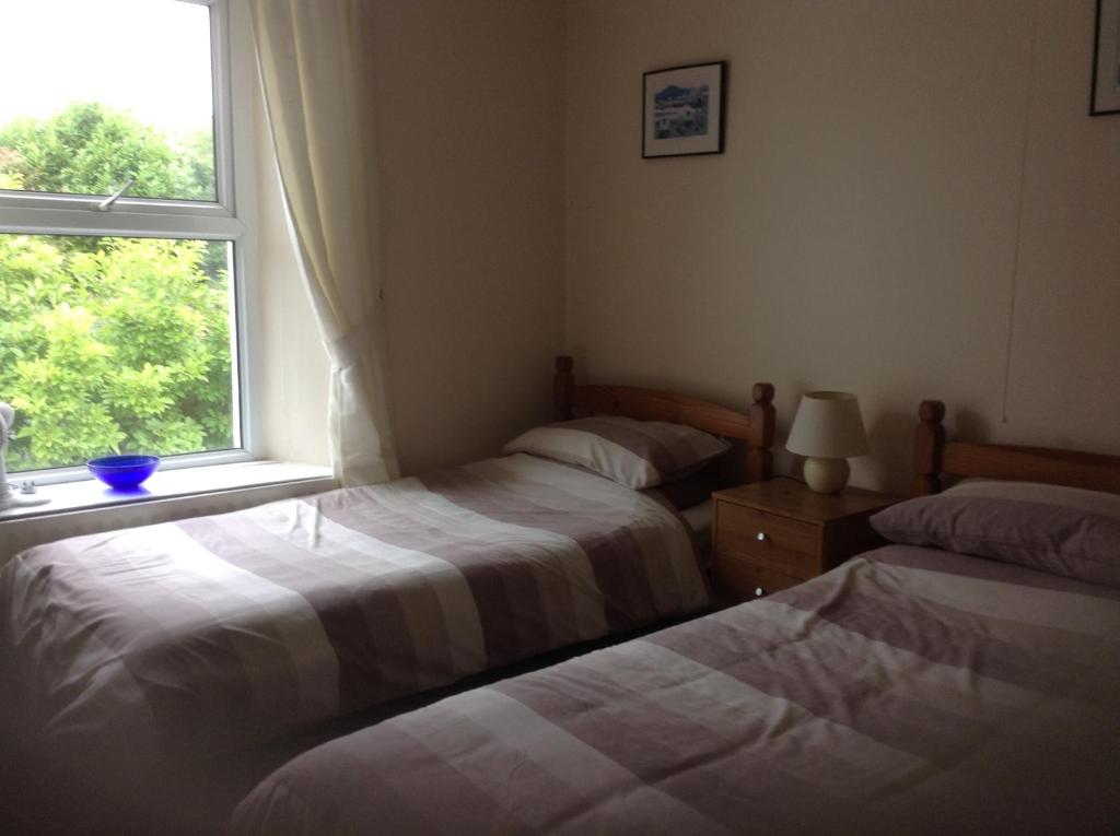 甘尼斯莱克Drakewalls Bed And Breakfast的带窗户的客房内的两张床